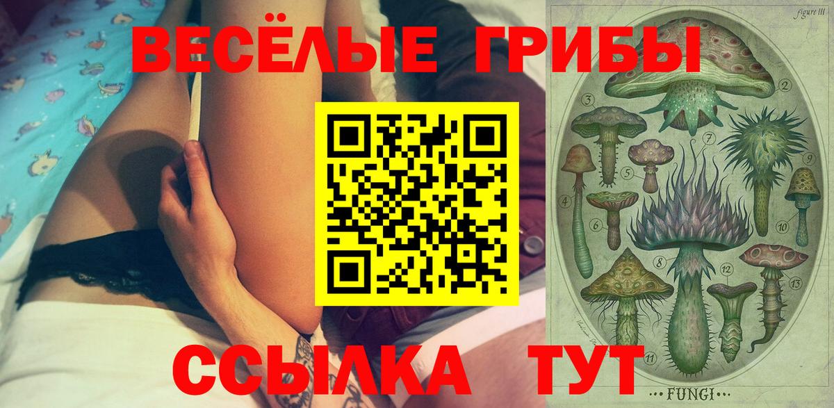 Псилоцибиновые грибы GOLDEN TEACHER Ахтубинск