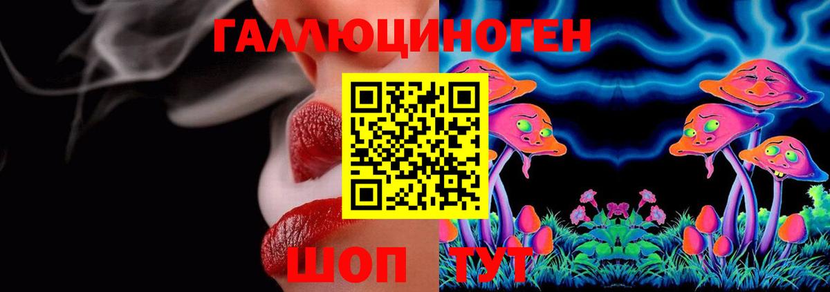 Ахтубинск  Галлюциногенные грибы Psilocybine cubensis  Вход с VPN 